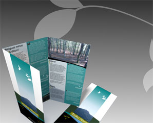 Diseño e impresión de folleto informativo
